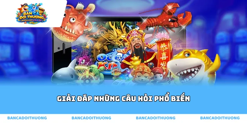 Giải đáp những câu hỏi phổ biến